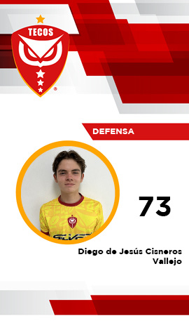 Defensa